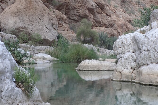 East Coast and Wadi Shab tour - Wadi Tiwi offers a shorter second look
