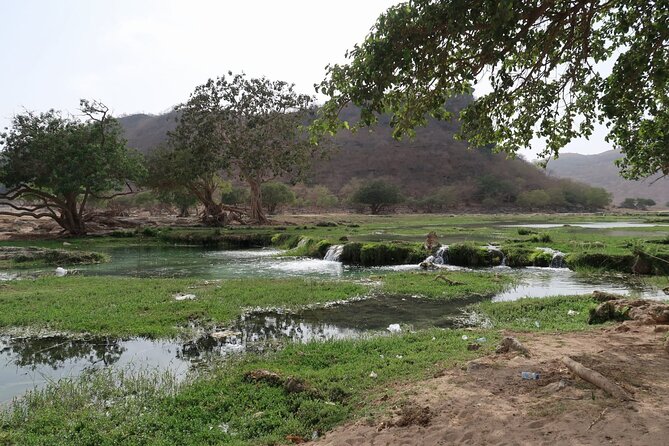 East of Salalah, Mountain Safari, Camels, Waterfall, White beach - Tawi Ateer and Teeq Cave bring real drama