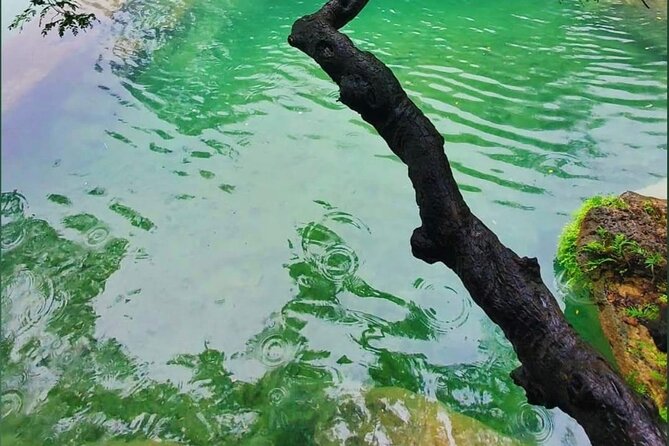 East Salalah Mountain Safari - The anti-gravity point: ten minutes of curiosity