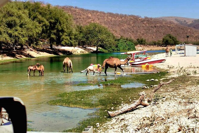 East Salalah Private Tour by VisitSalalah - Gravity Hill, a curious roadside pause