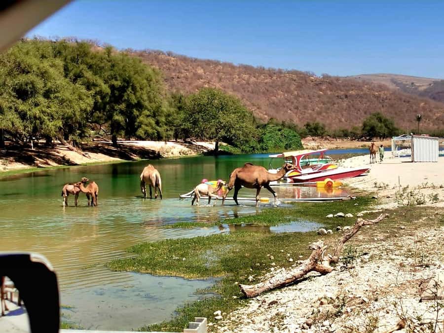 East Salalah Tour by VisitSalalah - Why the eastern route is worth your time