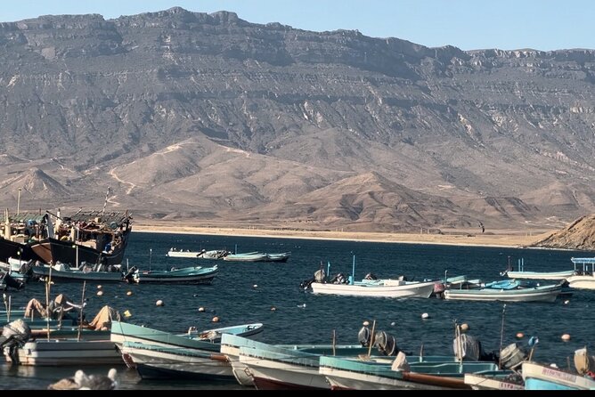 East Salalah tour Full day (private tour) - What the $100 Price Delivers
