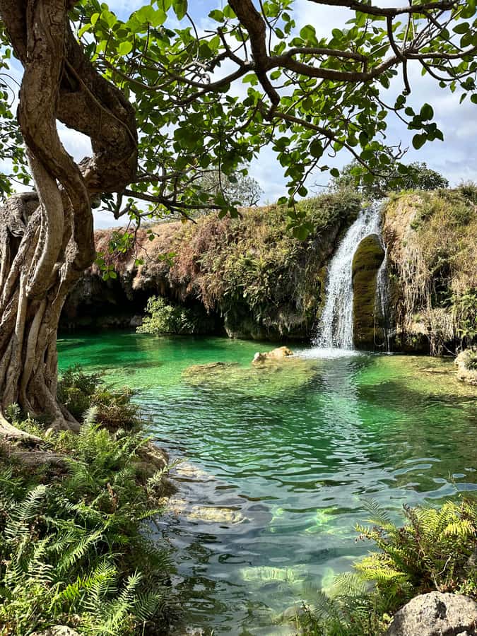 Elite Private Full Day Tour - Salalah Main Attractions - Key points to know before booking