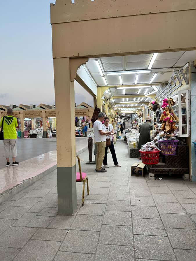 Elite Private Full Day Tour - Salalah Main Attractions - Western Salalah and the coastal change