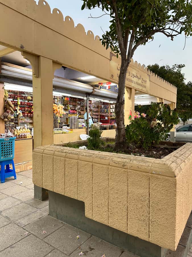 Elite Private Full Day Tour - Salalah Main Attractions - Who will get the most from this tour