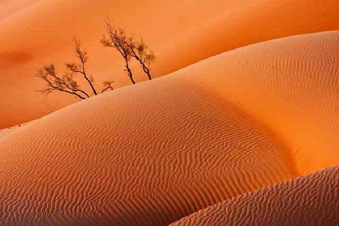 Empty Quarter And Lost City Of Ubar - Thumrait and the old Bedouin routes