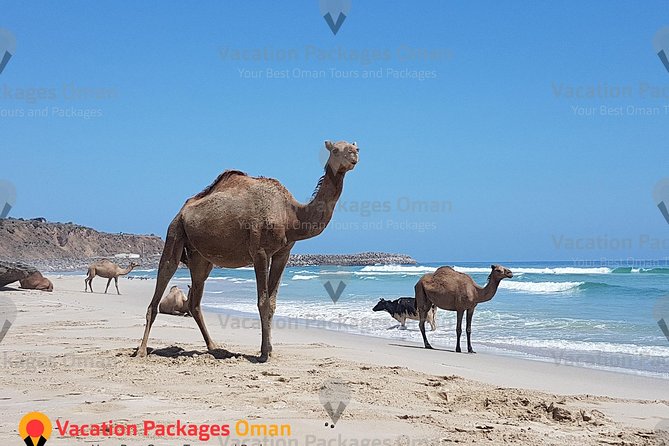 Empty Quarter 'Rub Al Khali' Day Tour - 4X4 Safari Adventure - Ubar and the Story of a Lost Settlement