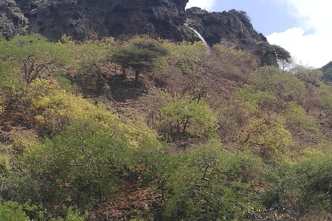 Enjoy a Full-Day Tour Uncovering East Salalah’s Hidden Gems - Tawi Attair is a serious geological stop