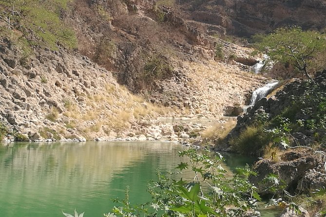 Enjoy a Full-Day Tour Uncovering East Salalah’s Hidden Gems - Taqah Castle and the old fishing town