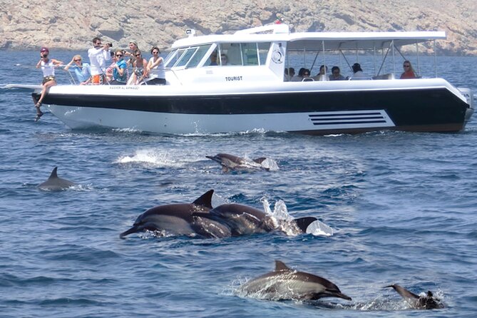 Experience Dolphin watching and snorkeling in Muscat - Key points to know before you book