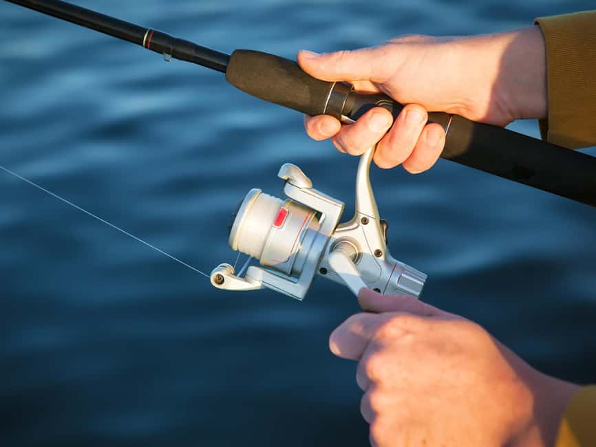 Fishing Trip 4 hours Tour - Key points to know before you book