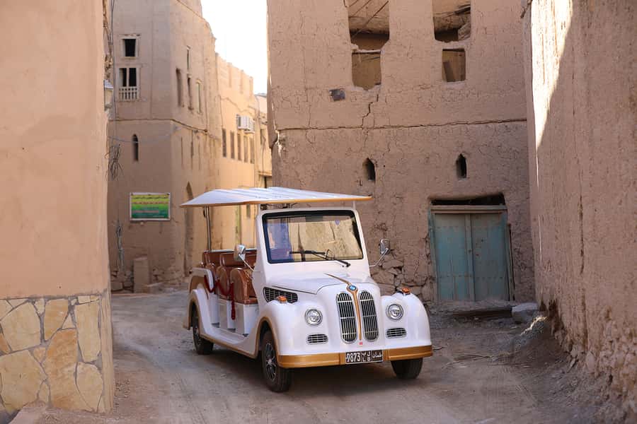 From Al Hamra: Al Hamra Electric Cart Tour - Date palms and the falaj water system