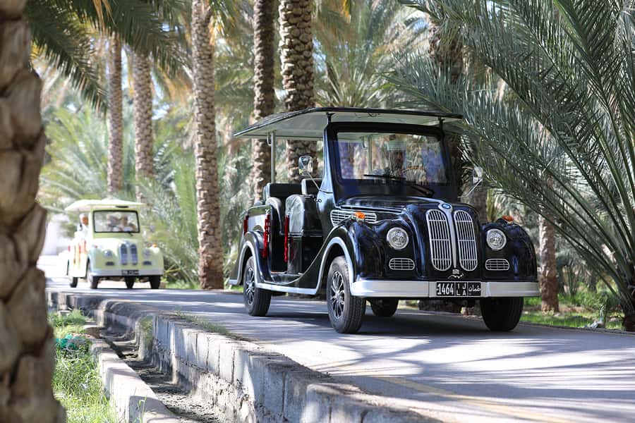 From Al Hamra: Al Hamra Electric Cart Tour - Riding through the old lanes