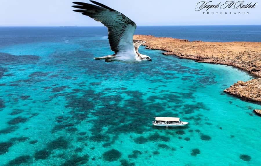 From Al-Seeb: Dimaniyat Islands Boat Trip with Snorkeling - Key points to know before booking
