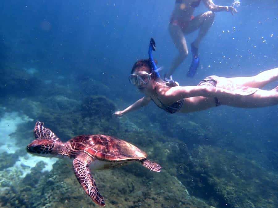 From Al-Seeb: Dimaniyat Islands Boat Trip with Snorkeling - Best time to book, and who should go
