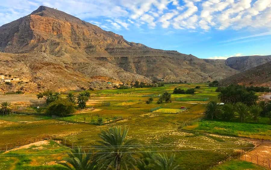 From Dubai: Musandam Khasab Tour with Boat Trip and Safari - Who will enjoy this day most