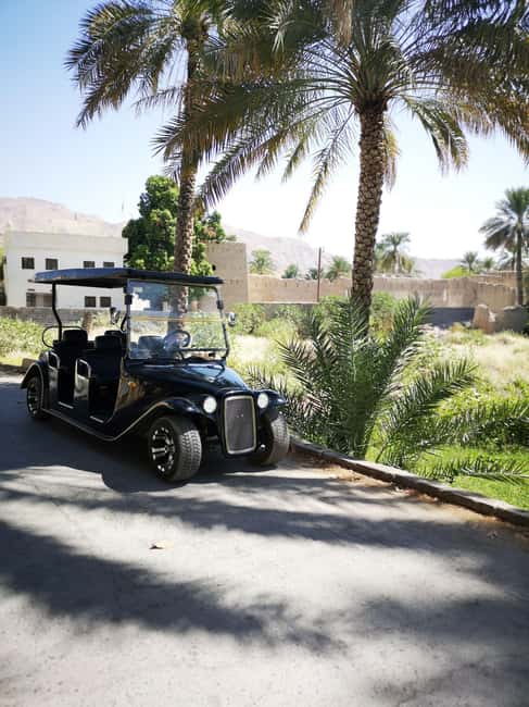 From Jebel Akhdar: Al Aqur Village Cultural Cart Tour - Key points before you book