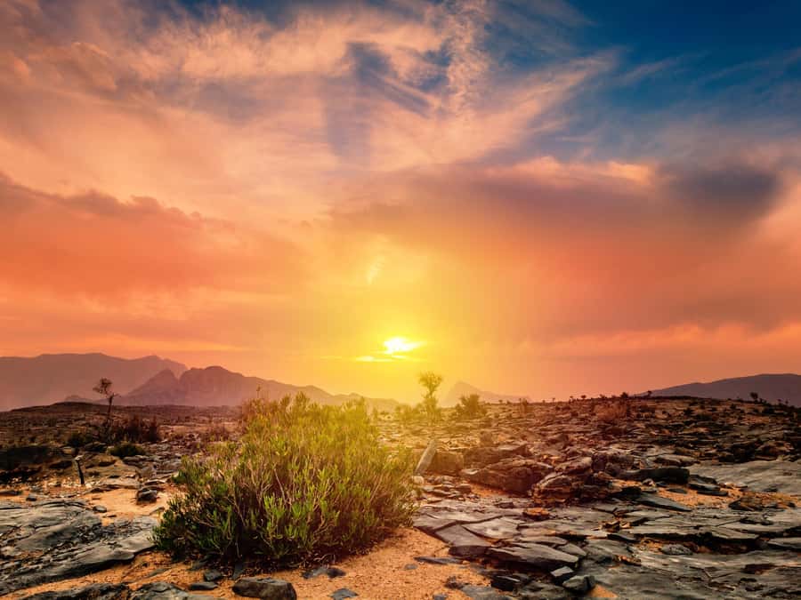 From Jebel Shams: Grand Canyon of Oman Jebel Shams - Key points to know before booking