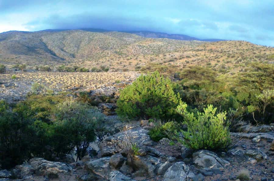 From Jebel Shams: Grand Canyon of Oman Jebel Shams - Who should book this Oman mountain tour?