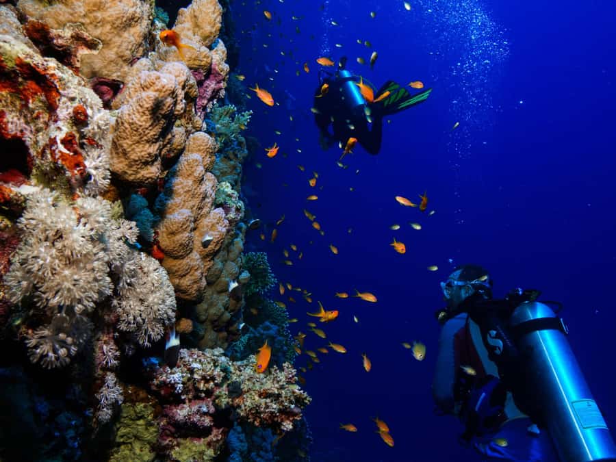 From Khasab: Diving Experience in Khasab - Getting Ready for the Two Underwater Sessions