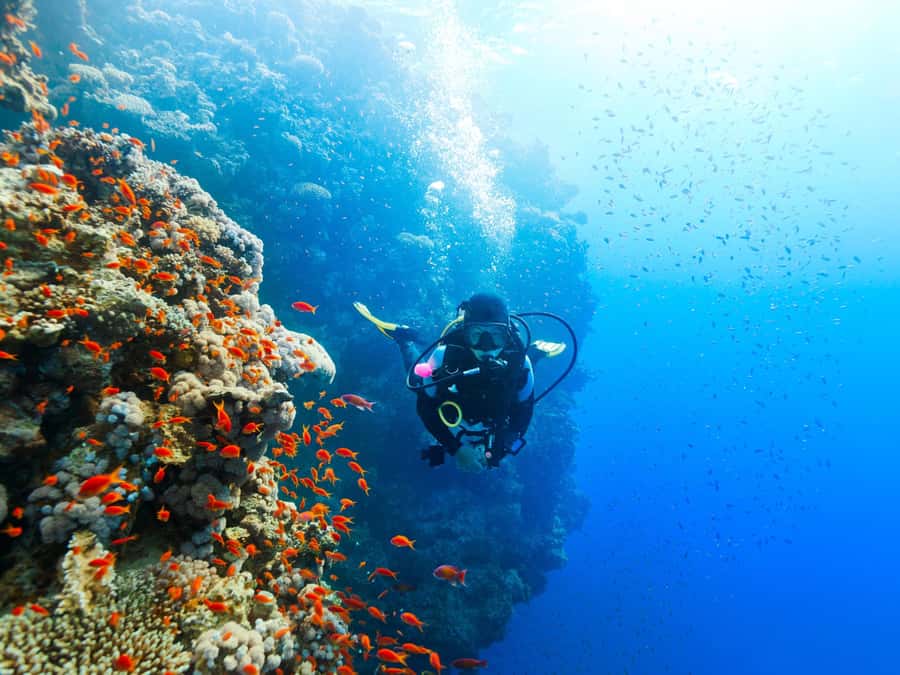 From Khasab: Diving Experience in Khasab - Leaving Khasab by Speedboat