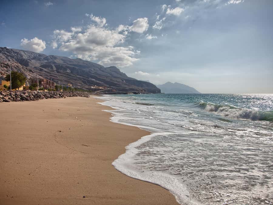 From Khasab: Kayaking Tour in Khasab with Lunch - Choosing between the kayak and rowing boat