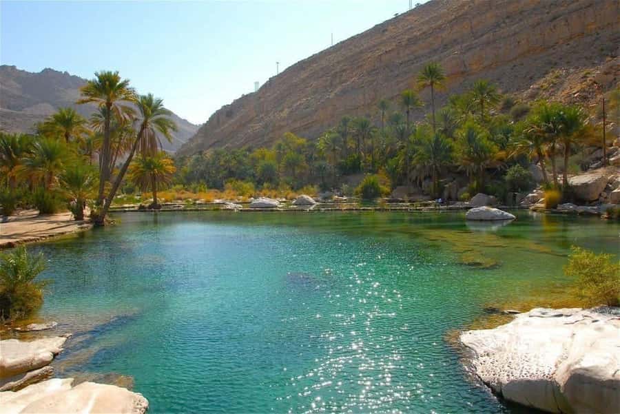 From Muscat: 2-Days, 1 Night in Wahiba Sands - Key points to know before booking