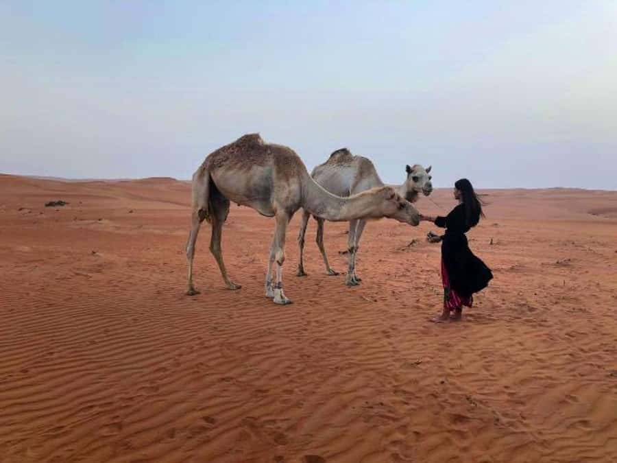 From Muscat: 2-Days, 1 Night in Wahiba Sands - Why this two-day route works