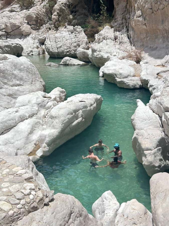 From Muscat: 2-Days, 1 Night in Wahiba Sands - Fins Beach and the coastal pause