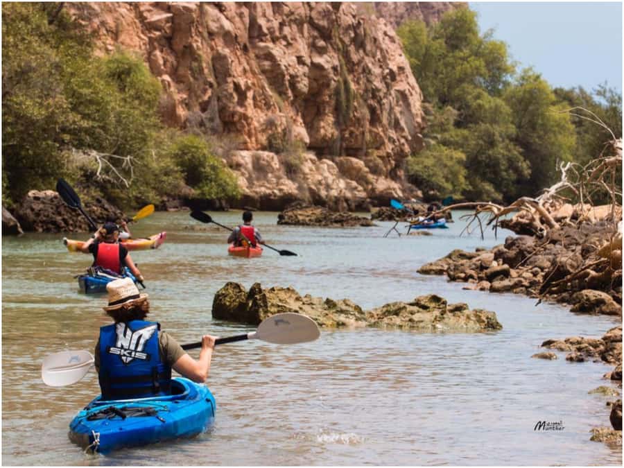 From Muscat: Al Qurum Beach Sunset Kayaking Experience - Starting at Al Qurum Beach