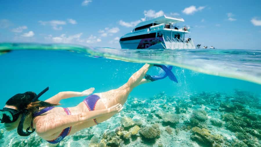 From Muscat: Dimaniyat Islands Snorkeling Tour - Leaving Muscat for the Dimaniyat Islands