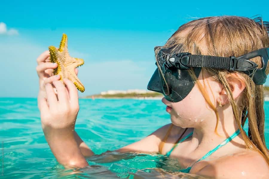 From Muscat: Dimaniyat Islands Snorkeling Tour - The first snorkeling stop is usually the highlight