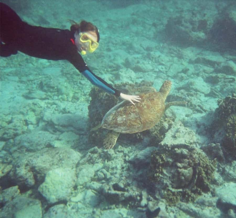 From Muscat: Dimaniyat Islands Snorkeling Tour - Guides and the human side of the trip