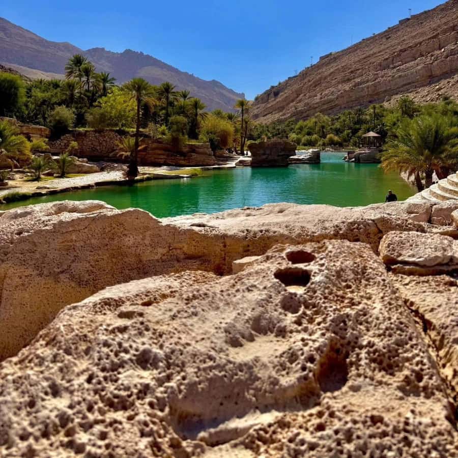 From Muscat: Full Day to Wahiba Sands and Wadi Bani Khalid - How the nine-hour schedule feels