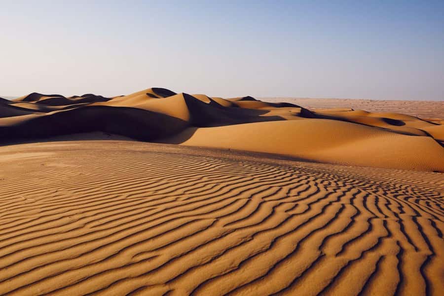 From Muscat: Full Day to Wahiba Sands and Wadi Bani Khalid - What the guide adds to the day