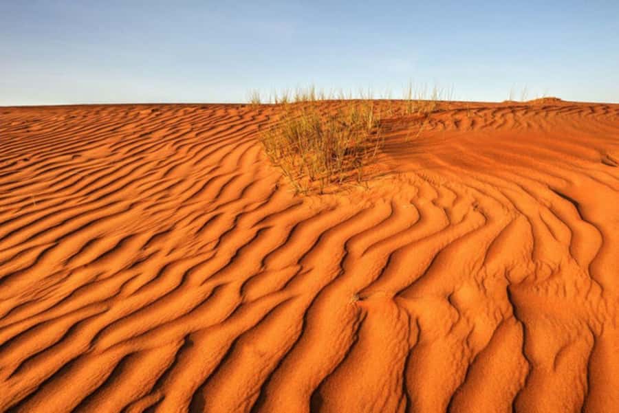 From Muscat: Full Day to Wahiba Sands and Wadi Bani Khalid - Practical limits and who should skip it