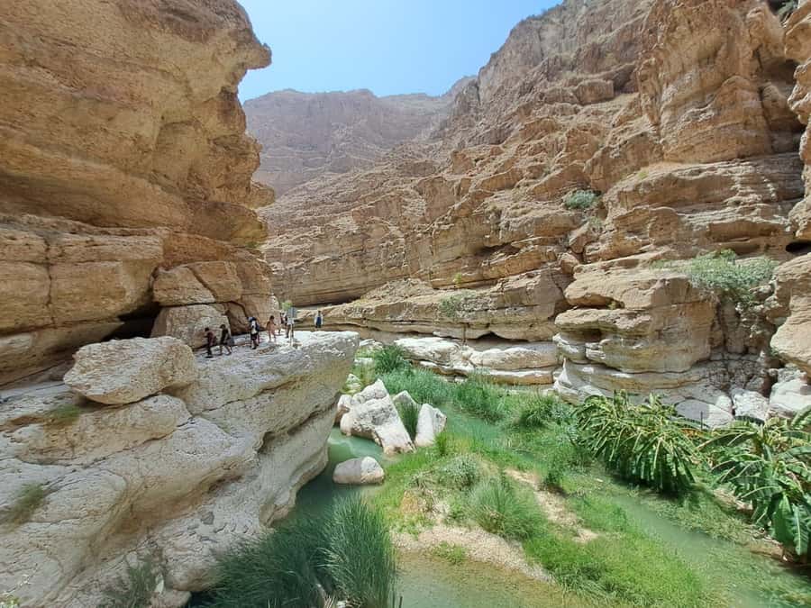 From Muscat: Guided Overnight Desert Camp Tour - The desert night: dinner, stars, and an early alarm