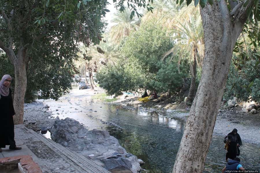 From Muscat: Nakhal Fort Day Trip - Who Should Book This Nakhal and Rustaq Trip?