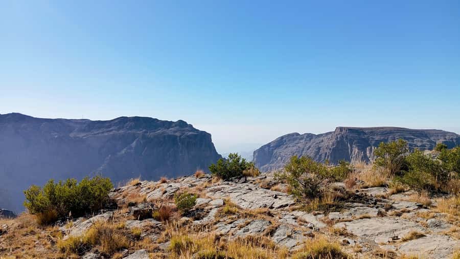 From Muscat: Nizwa and Jebel Akhdar Tour with Lunch - Nizwa Souq: dates, silver, coffee, and local flavor