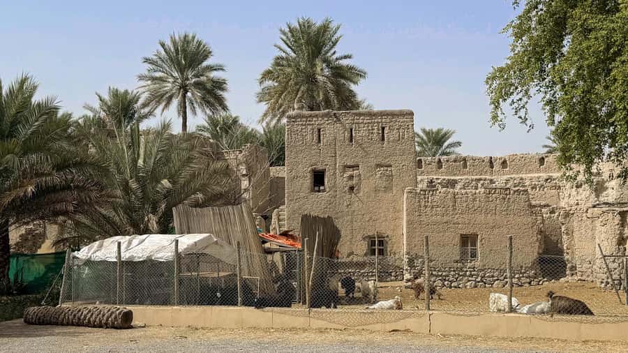 From Muscat: Nizwa and Jebel Akhdar Tour with Lunch - Is $130 good value?