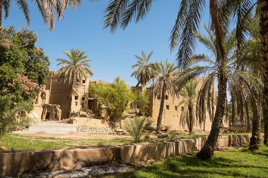 From Muscat: Nizwa and Oman's Historical Gems Tour - Nizwa Fort and the story behind the walls