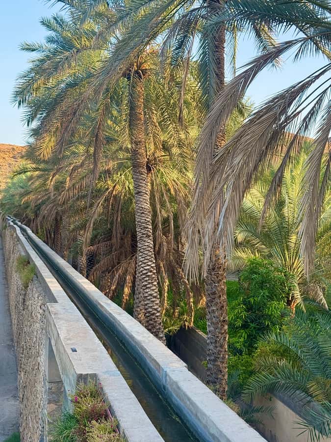 From Muscat: Nizwa Fort, Souq, falaj & Museum Full Day Tour - Key points to know before booking