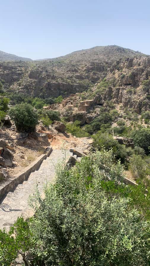 From Muscat: Private Nizwa and Jabel Akhdar-Shams with Lunch - Jebel Akhdar, the green mountain region