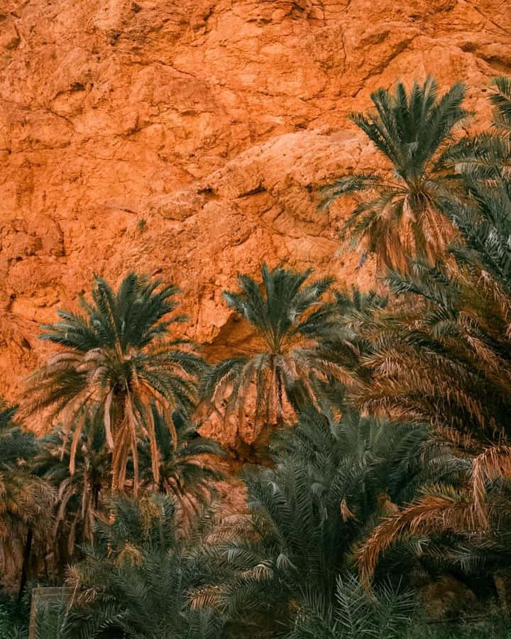 From Muscat:Private Wadi Shab and Bimmah SinkHole Tour - Bimmah Sinkhole and Hawiyat Najm Park
