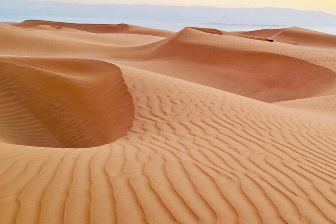 From Muscat: Wadi Hawar and Wahiba Sands Desert Tour - Is $175 a fair price?