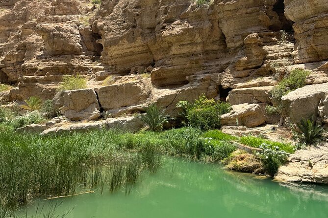 From Muscat Wadi Shab and Bimmah Sinkhole Tour - Swimming, turtles, and the best moments