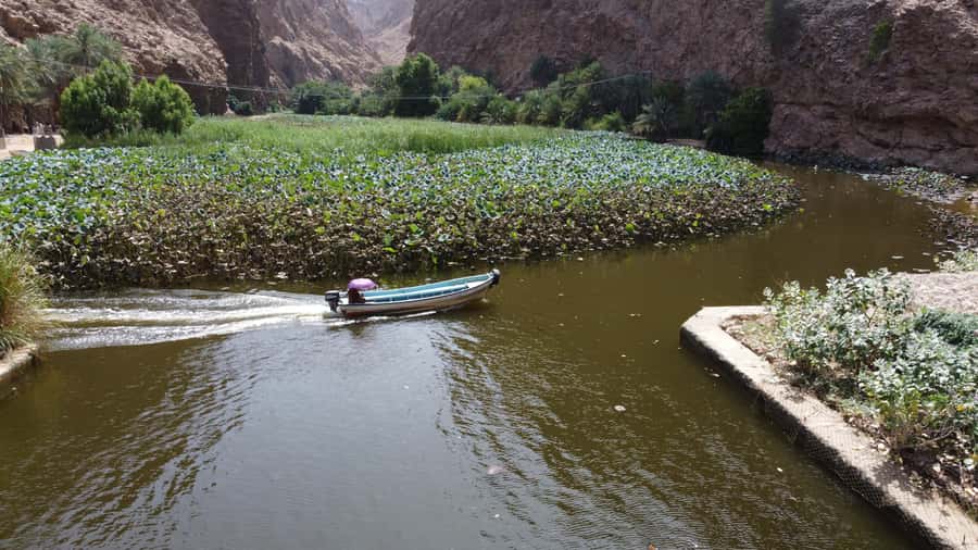 From Muscat: Wadi Shab & Bimmah Sinkhole Full-Day Tour - Lunch and the change from adventure to sightseeing