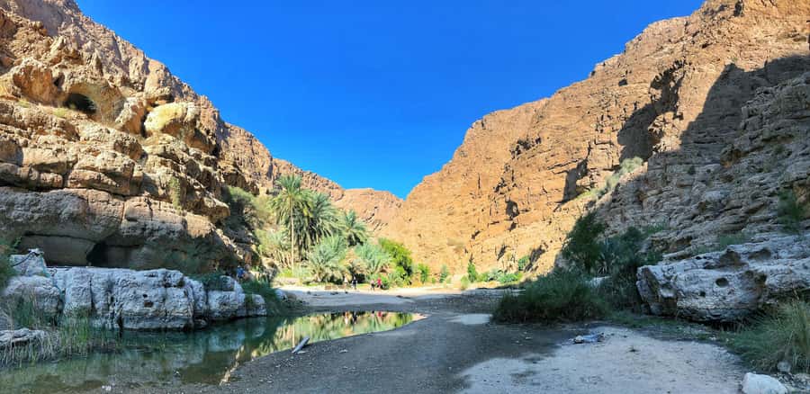 From Muscat: Wadi Shab & Bimmah Sinkhole Full-Day Tour - Guides, group size, and the value of help