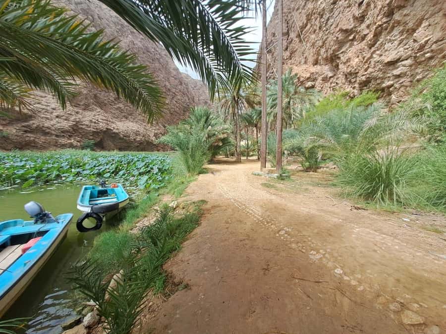 From Muscat: Wadi Shab Expedition - Why Wadi Shab makes a strong day trip from Muscat