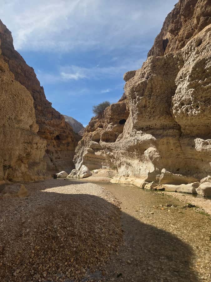 From Muscat: Wadi Shab Expedition - Swimming to the cave waterfall